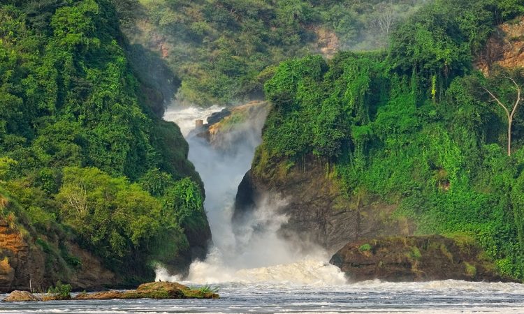Murchison Falls National Park-Uganda